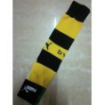 Borussia Dortmund